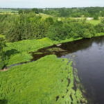 Kayak at the Latvian-Lithuanian border, biggest inland dune - A comprehensive review of what the kayak trip entails