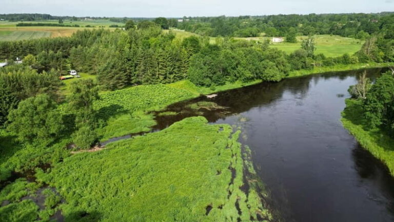 Kayak at the Latvian-Lithuanian border, biggest inland dune - A comprehensive review of what the kayak trip entails