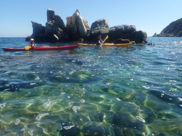 Kayak Tour of Capo Figari, Golfo Aranci (3 hours) - Who Will Love This Tour?