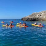 Kayak Tour - Wild Beaches - The Sum Up: Why This Tour Can Be a Great Choice