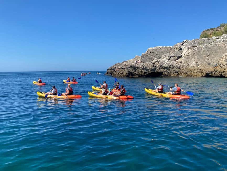 Kayak Tour - Wild Beaches - The Sum Up: Why This Tour Can Be a Great Choice