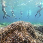 Kayak&Snorkel Tour - The Secret of the Posidonia - The Value of the Experience