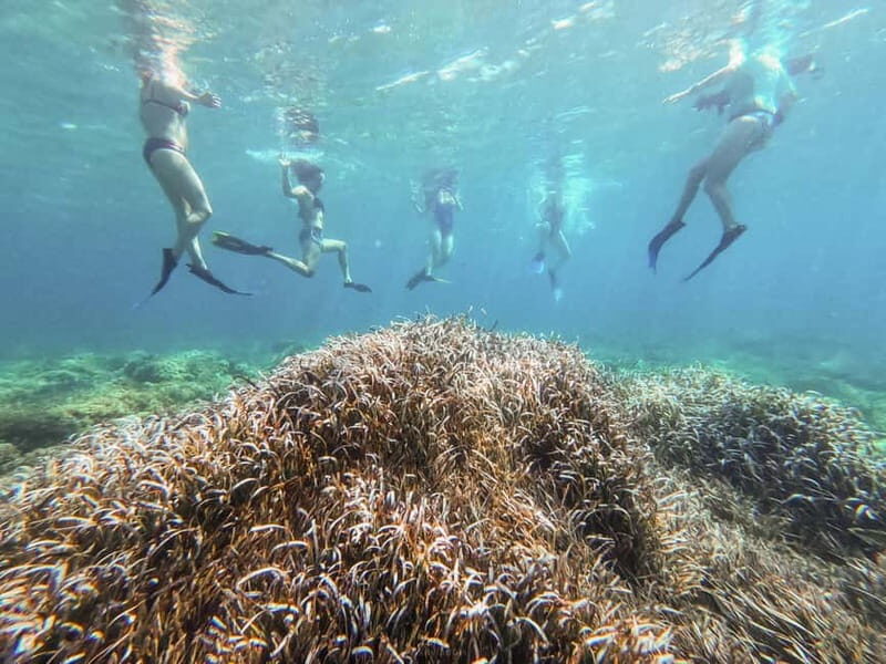 Kayak&Snorkel Tour - The Secret of the Posidonia - The Value of the Experience
