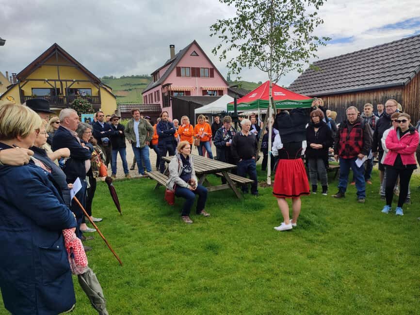 Kaysersberg Vineyard Discovery of the vineyard and wine, Domaine Meyer-Krumb - The Itinerary Breakdown