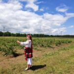 Kazanlak: Rose Festival 2025 VIP Access - Is This Tour Worth It?