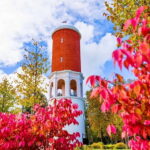 Kemeri N Park, Jurmala, Lake Melnezers & White Castle Hotel - A Deep Dive into the Tour Experience