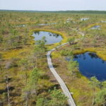 Kemeri National Park Bog Trail near Riga - Who Would Love This Tour?