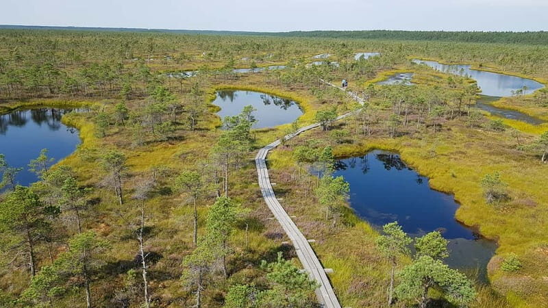 Kemeri National Park Bog Trail near Riga - Who Would Love This Tour?
