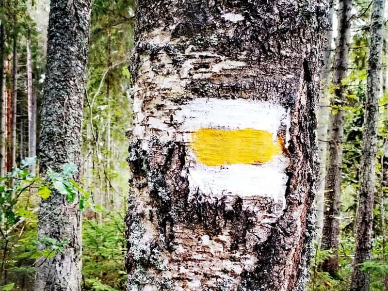 Kemeri National park Hiking trail (16 km) - Why This Tour Offers Real Value