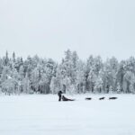 Kemi-Tornio: Husky Sled Ride with Hot Drink - Who Will Love This Tour?