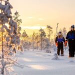 Kemi-Tornio: Nature tour with snowshoes - The Itinerary: What You Can Expect