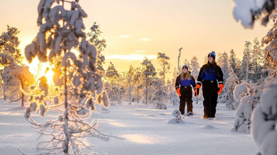 Kemi-Tornio: Nature tour with snowshoes - The Itinerary: What You Can Expect