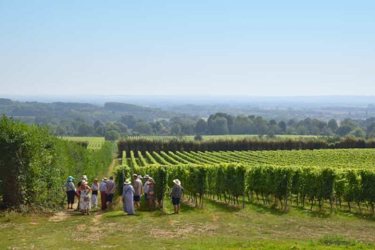 Kent: Yotes Court Vineyard Tour and Tasting - Practical Details & Value Considerations