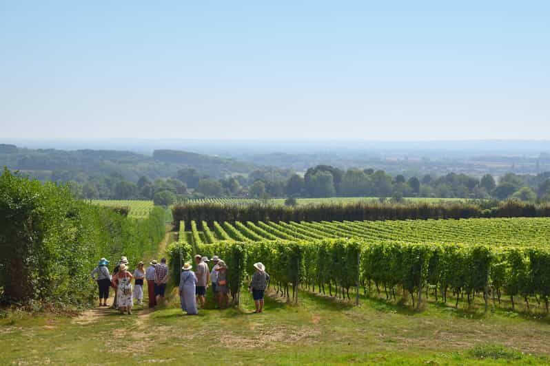 Kent: Yotes Court Vineyard Tour and Tasting - Practical Details & Value Considerations