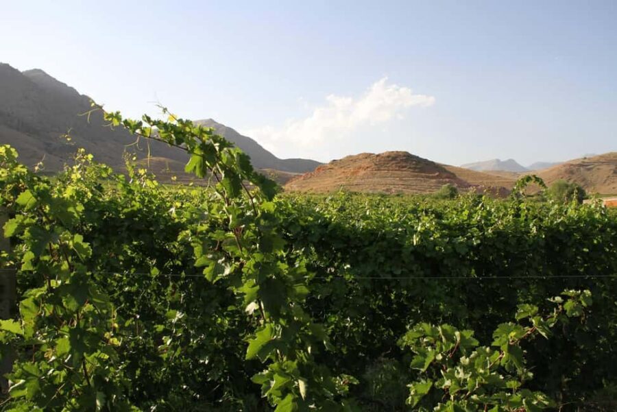 Khor Virap and Noravank Monasteries Tour - What To Expect from the Tour