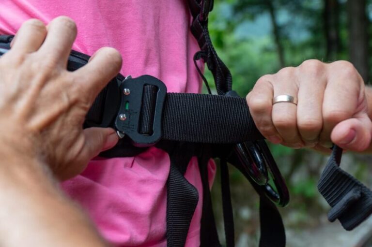 Kingswing "I hob a gschrian" - How the Experience Unfolds