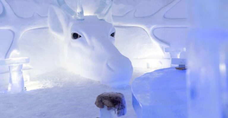 Kirkenes: Snowhotel Entrance Ticket - Who Should Consider This Tour?