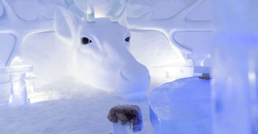 Kirkenes: Snowhotel Entrance Ticket - Who Should Consider This Tour?