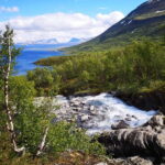 Kiruna: Abisko National Park Guided Day Tour with Lunch - The Guides and Experience Quality