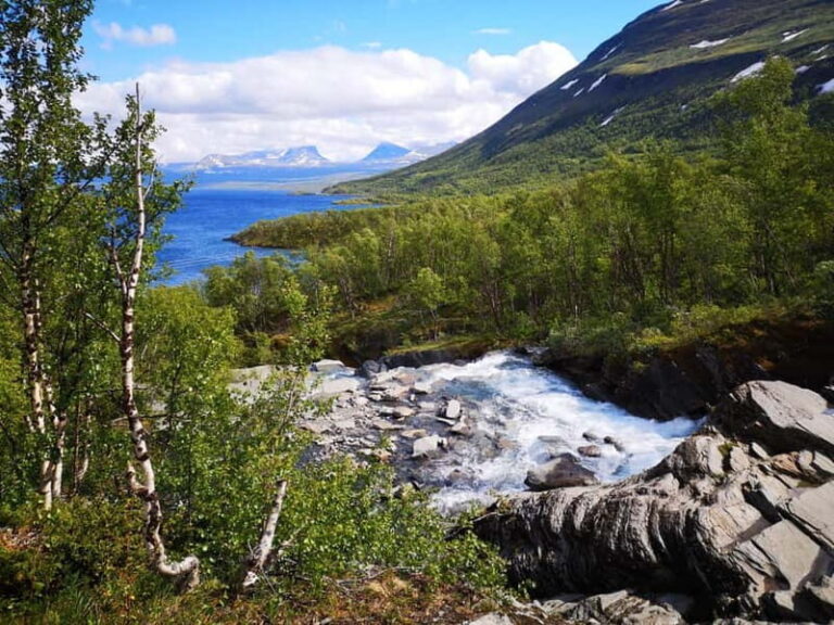Kiruna: Abisko National Park Guided Day Tour with Lunch - The Guides and Experience Quality