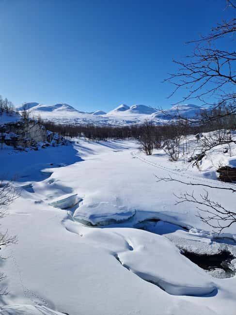 Kiruna: Abisko National Park Snowshoe Hike with Lunch - What We Like and What to Consider