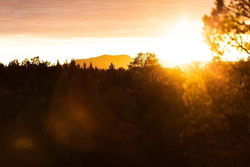 Kiruna: Arctic Summit Views in the Midnight Sun - Who Will Love This Tour?