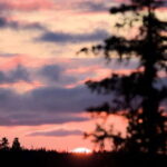 Kiruna: Northern Lights Dog Sled Tour with Swedish Fika - What Makes This Tour Stand Out