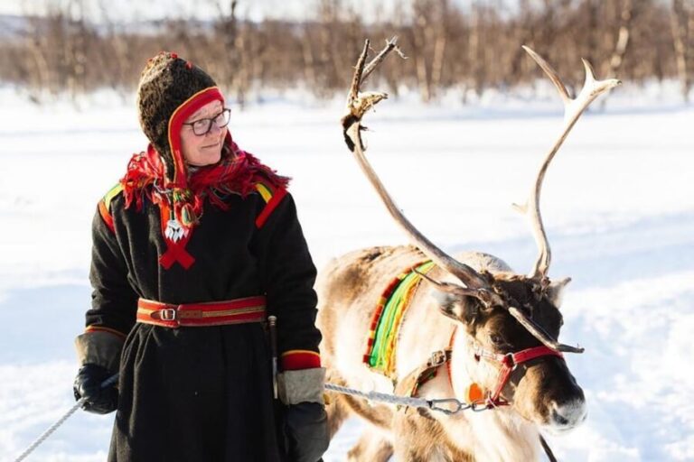 KIRUNA: Sami Reindeer Experience - What Makes This Tour Stand Out?