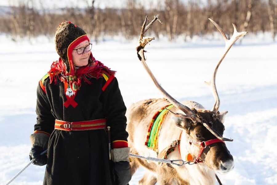 KIRUNA: Sami Reindeer Experience - What Makes This Tour Stand Out?