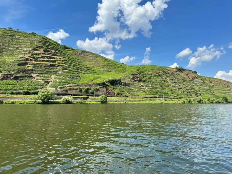 Koblenz: Private boat tour on the Moselle + wine experience - An In-Depth Look at the Koblenz Moselle Private Boat Tour