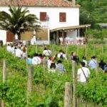 Konavle Valley: Tour with Wine Tasting from Dubrovnik - Who Should Consider This Tour?