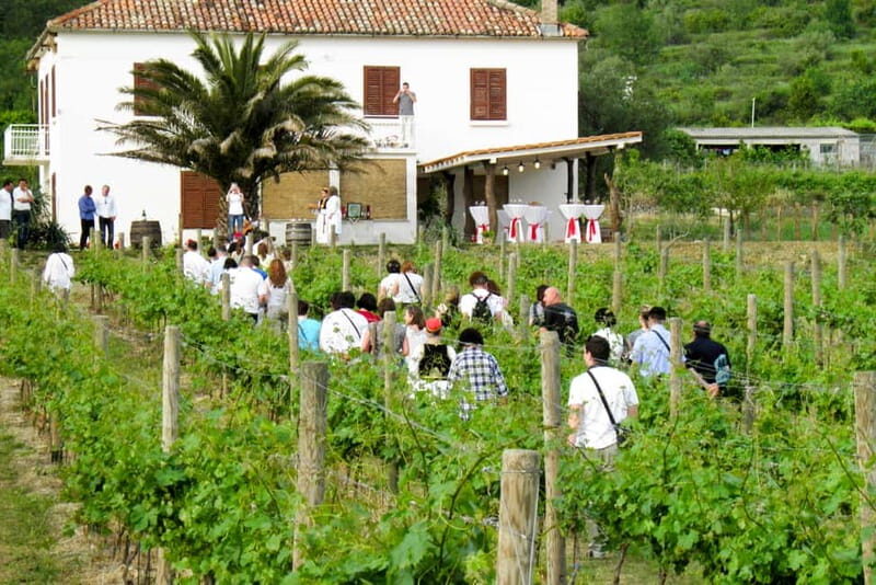 Konavle Valley: Tour with Wine Tasting from Dubrovnik - Who Should Consider This Tour?