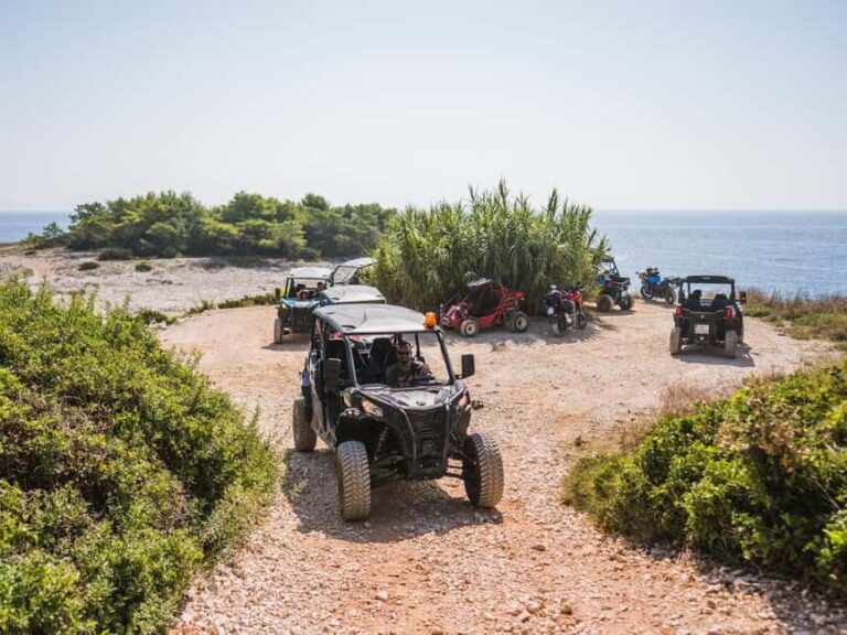 Korcula Buggy Safari With Wine Tasting - The Sum Up: Who Will Love This Tour?