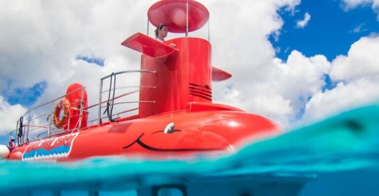 Korcula: Semi-Submarine Tour - Detailed Review: What to Expect from the Korcula Semi-Submarine Tour