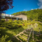 Kosovo: Bear Sanctuary Prishtina, (guided tour & shuttle) - A Closer Look at the Experience