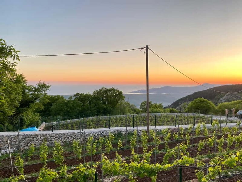 Kotor & Wine: Tasting the Charms Beneath Mount Lovcen - Discovering Kotors Historic Heart