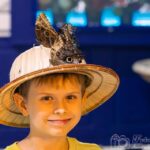 Krakow: 4 Mazes and Living Butterfly Museum Entry Ticket - Who Will Love This Experience?