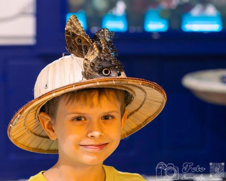 Krakow: 4 Mazes and Living Butterfly Museum Entry Ticket - Who Will Love This Experience?