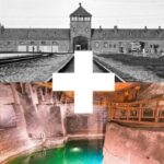 Krakow: Auschwitz-Birkenau and Salt Mine Guided Tour - Who Should Consider This Tour?