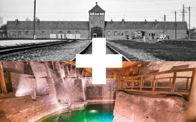 Krakow: Auschwitz-Birkenau and Salt Mine Guided Tour - Who Should Consider This Tour?