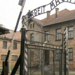Krakow: Auschwitz-Birkenau Guided Tour or Self-Guided Tour - Practical Tips for Your Visit