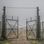 Kraków: Auschwitz-Birkenau & Salt Mine Full-Day Guided Tour - Deep Dive into the Itinerary