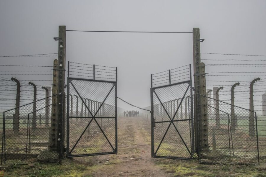 Kraków: Auschwitz-Birkenau & Salt Mine Full-Day Guided Tour - Deep Dive into the Itinerary
