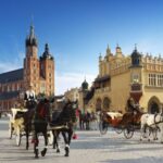 Krakow: full day private tour from Warsaw - What’s Included and What to Consider