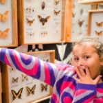 Krakow: Living Butterflies Museum ''House Of Attractions'' - Why You Should Consider Visiting