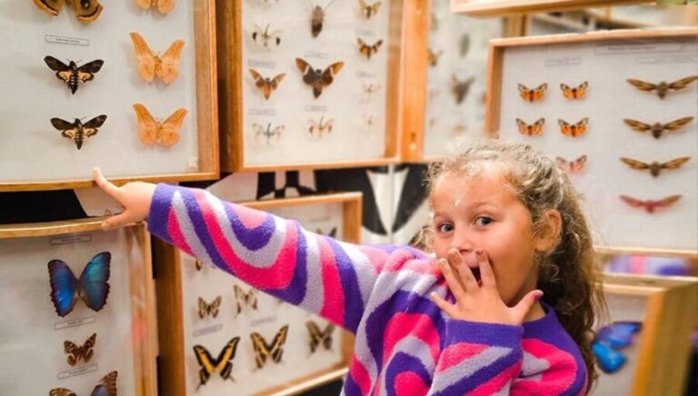 Krakow: Living Butterflies Museum ''House Of Attractions'' - Why You Should Consider Visiting