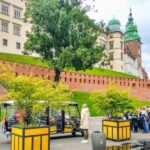 Krakow: Old Town Golf Cart Walk and Wawel Castle Guided Tour - Who Is This Tour Best For?