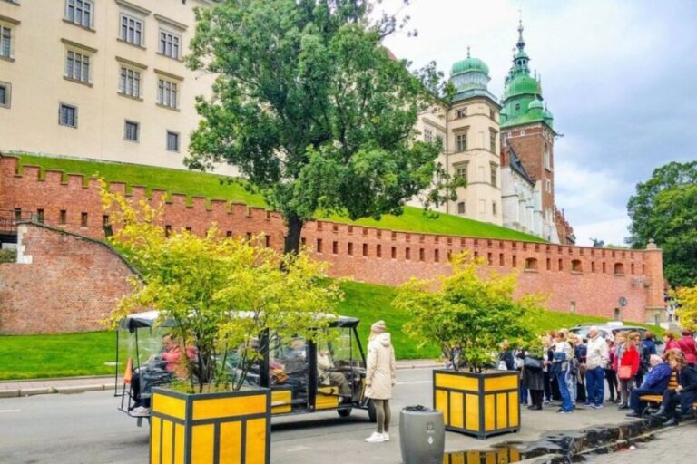 Krakow: Old Town Golf Cart Walk and Wawel Castle Guided Tour - Who Is This Tour Best For?