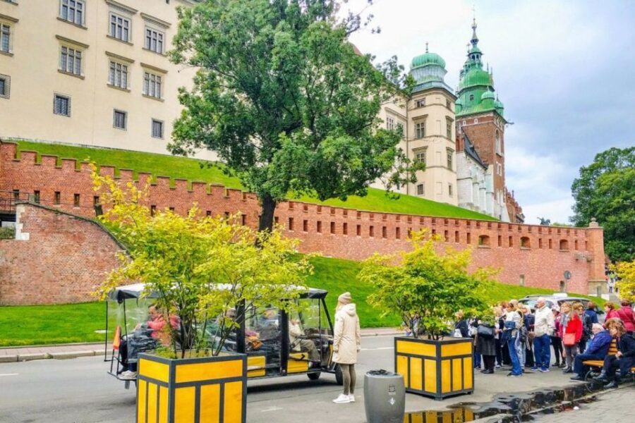 Krakow: Old Town Golf Cart Walk and Wawel Castle Guided Tour - Who Is This Tour Best For?