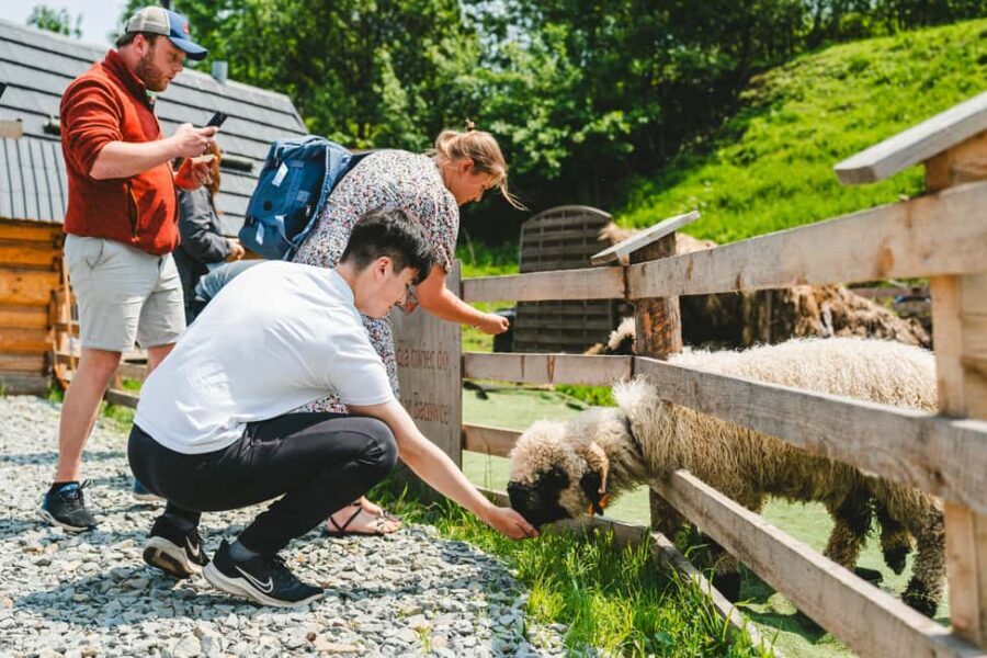 Krakow: Zakopane Day Trip with Funicular & Thermal Pools - A Deep Dive into the Zakopane Day Trip Experience
